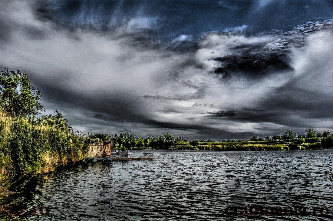 Cupa Seniorilor 2013